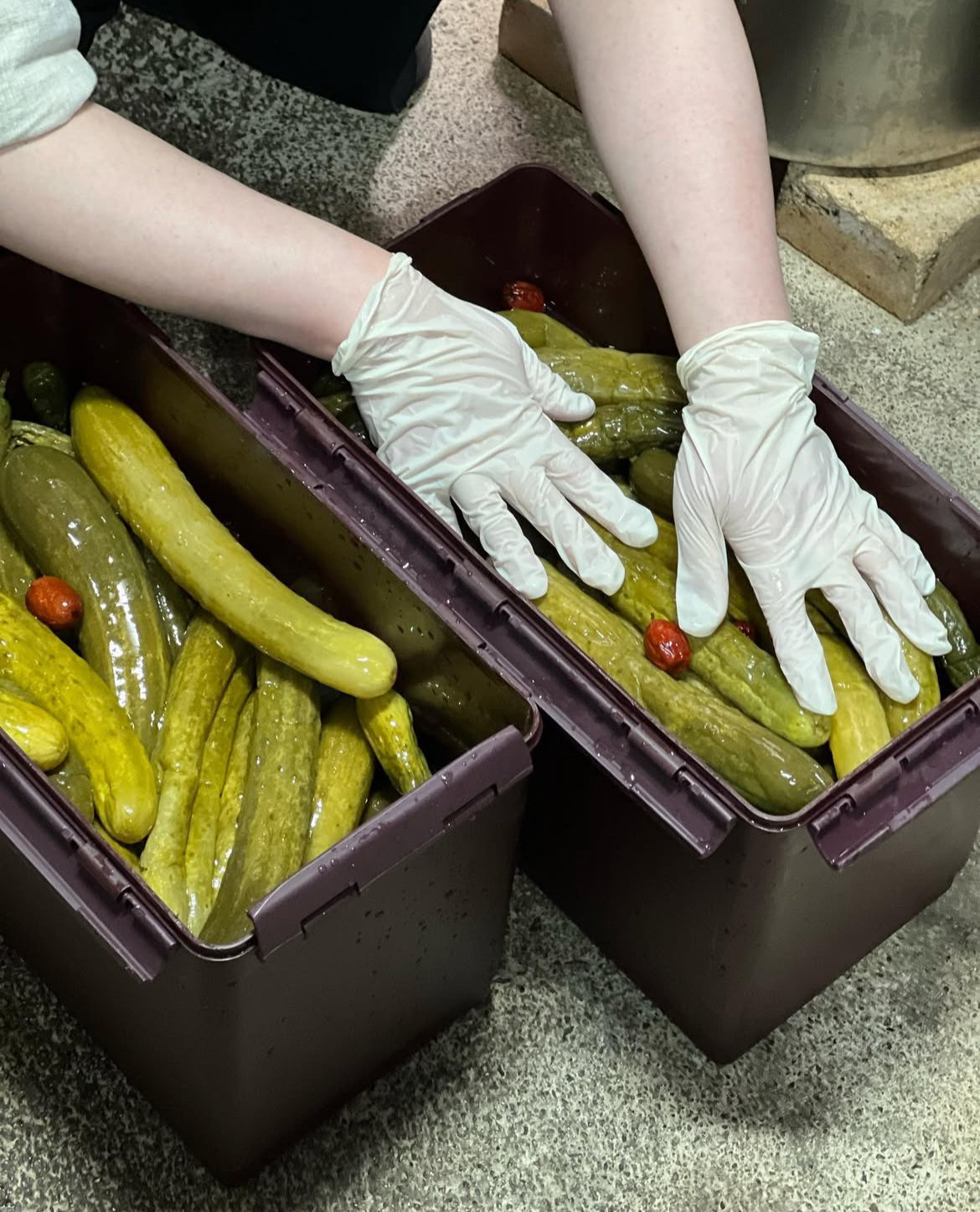오이지무침